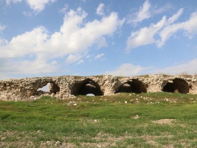 غندجان در آستانه نابودی