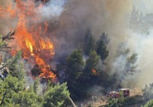 مهار آتشسوزی گسترده در جنگلهای کاج لاکان